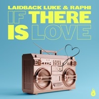 Thumbnail for the Laidback Luke - If There is Love link, provided by host site