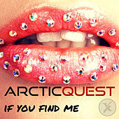 Thumbnail for the Arctic Quest - If You Find Me link, provided by host site