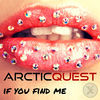 Thumbnail for the Arctic Quest - If You Find Me link, provided by host site