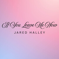 Thumbnail for the Jared Halley - If You Leave Me Now (Acappella) link, provided by host site
