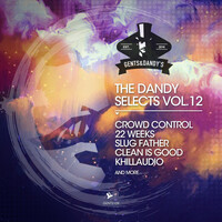 Thumbnail for the Crowd Control - If You Like - Criss Korey Remix link, provided by host site
