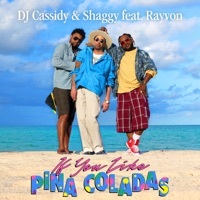 Thumbnail for the DJ Cassidy - If You Like Pina Coladas link, provided by host site