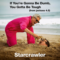Thumbnail for the Starcrawler - If You're Gonna Be Dumb, You Gotta Be Tough (From "Jackass 4.5") link, provided by host site