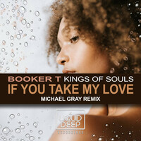 Thumbnail for the Booker T - If You Take My Love (Michael Gray Remix) link, provided by host site