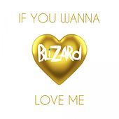 Thumbnail for the Blizard - If You Wanna Love Me link, provided by host site