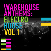 Thumbnail for the The Moogs - Ignite - Original Mix link, provided by host site