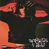 Thumbnail for the aldn - ignorance is bliss link, provided by host site