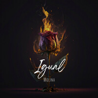Thumbnail for the Molina - Igual link, provided by host site