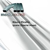 Thumbnail for the Mauro Picotto - Iguana (Special mixes) link, provided by host site
