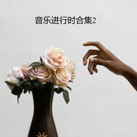 Thumbnail for the Nicolas - 音乐进行时合集II link, provided by host site