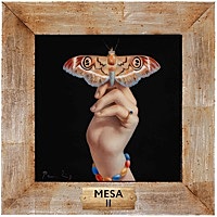 Thumbnail for the Mesa - II link, provided by host site