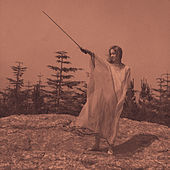 Thumbnail for the Unknown Mortal Orchestra - II link, provided by host site