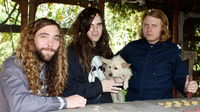 Thumbnail for the Fuzz - II link, provided by host site
