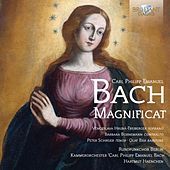 Thumbnail for the Kammerorchester Carl Philipp Emanuel Bach - II. Largo link, provided by host site