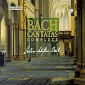 Thumbnail for the Knut Schoch - II. Meine Seufzer, Meine Tränen BWV 13, Recitativo (Soprano): Mein Kummer Nimmet Zu link, provided by host site