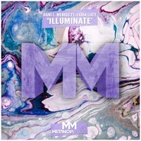 Thumbnail for the Dani L. Mebius - Illuminate [Main Mix] link, provided by host site