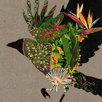 Thumbnail for the Laraaji - Illusion of Time link, provided by host site
