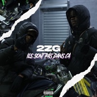Thumbnail for the 2ZG - ils sont pas dans ça link, provided by host site