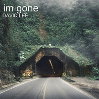 Thumbnail for the David Lee - Im Gone link, provided by host site