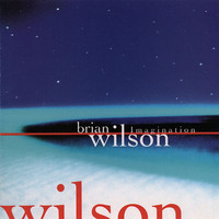 Thumbnail for the Brian Wilson - Imagination link, provided by host site