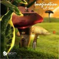 Thumbnail for the C-Side - Imagination link, provided by host site