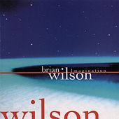 Thumbnail for the Brian Wilson - Imagination link, provided by host site