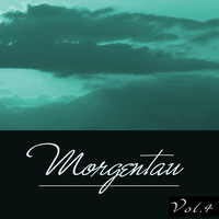 Thumbnail for the Rise And Fall - Imagination - Manu Riga Prog Remix link, provided by host site