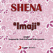 Thumbnail for the Shena - Imaji link, provided by host site