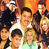 Thumbnail for the Florin Salam - Imi Pare Rau link, provided by host site