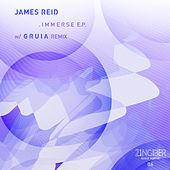 Thumbnail for the James Reid - Immerse link, provided by host site