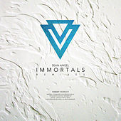 Thumbnail for the Sean Angel - Immortals (Remixes) link, provided by host site