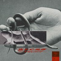Thumbnail for the Flora - Impatience link, provided by host site