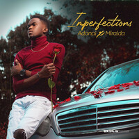 Thumbnail for the ADONA - Imperfections link, provided by host site