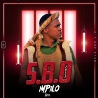 Thumbnail for the SBO - Impilo link, provided by host site