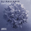 Thumbnail for the DJ Raül - Impluse link, provided by host site