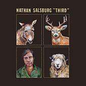 Thumbnail for the Nathan Salsburg - Impossible Air link, provided by host site