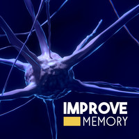 Thumbnail for the Sound Library XL - Improve Memory – New Age Sounds for Learning, Studying Music, Brain Power, Relax for Mind link, provided by host site