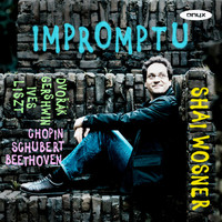 Thumbnail for the Charles Ives - Improvisations for Piano: I link, provided by host site