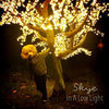Thumbnail for the Skye - In a Low Light link, provided by host site