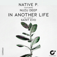 Thumbnail for the Native P. - In Another Life link, provided by host site