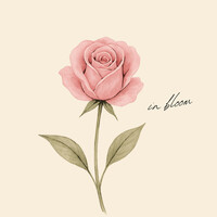 Thumbnail for the Hannah Schaefer - in bloom link, provided by host site