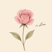 Thumbnail for the Hannah Schaefer - in bloom link, provided by host site
