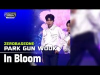Thumbnail for the ZEROBASEONE - PARK GUN WOOK (박건욱) | (제로베이스원) - In Bloom | SERO CAM 🎥 | MCOUNTDOWN IN FRANCE link, provided by host site