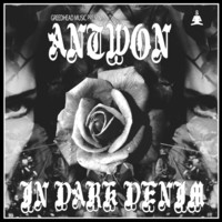 Thumbnail for the Antwon - In Dark Denim link, provided by host site