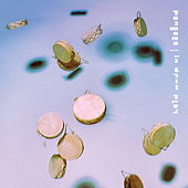 Thumbnail for the Pangaea - In Drum Play link, provided by host site