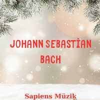 Thumbnail for the Johann Sebastian Bach - In Dulci Jubilo (2): Joyful Harmonies link, provided by host site