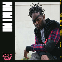 Thumbnail for the Zebra Katz - IN IN IN link, provided by host site