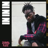 Thumbnail for the Zebra Katz - IN IN IN link, provided by host site