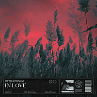 Thumbnail for the Zuffo - In Love link, provided by host site