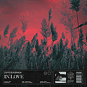 Thumbnail for the Zuffo - In Love link, provided by host site